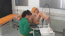 Esperto cagna tipo d ...