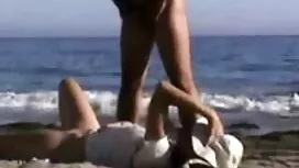 Il casalinghi amator ...