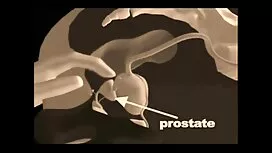 Una palla di dimensi ...