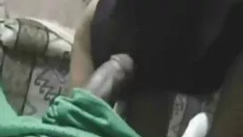 Partito del sesso co ...
