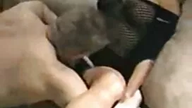 Grande veloce porno  ...